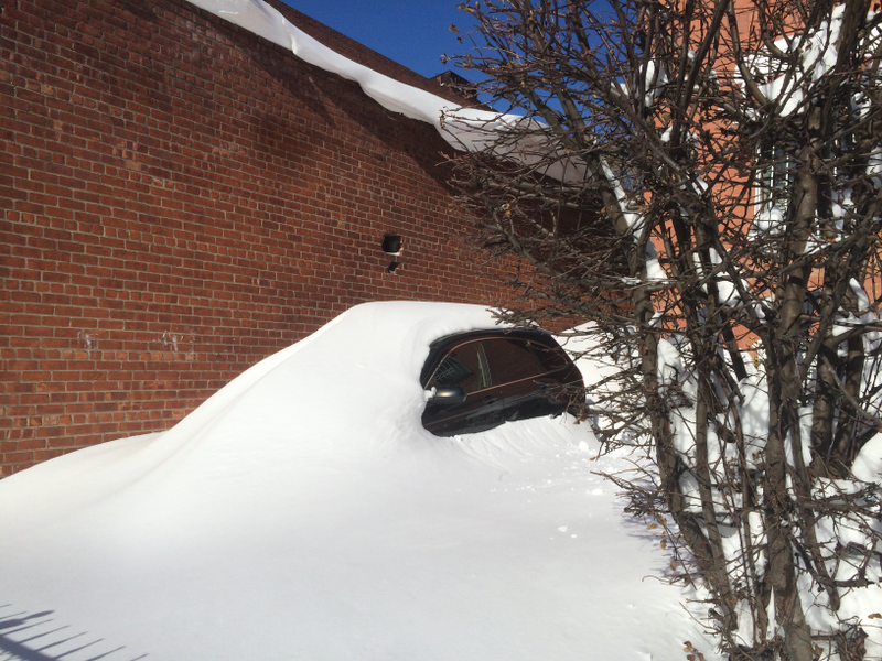 Illustration for article titled A Blizzard Grows in Brooklyn